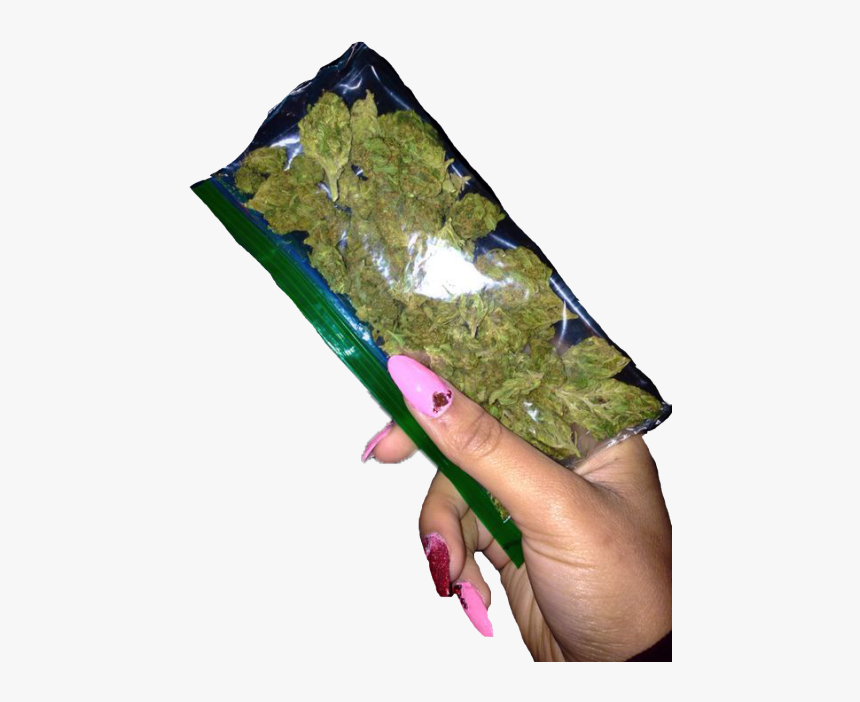 Weed In Girls Hand