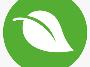 Organic And Natural Products - Mail Logo Green Colour