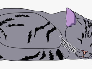 Clipart Sleeping Cat Png