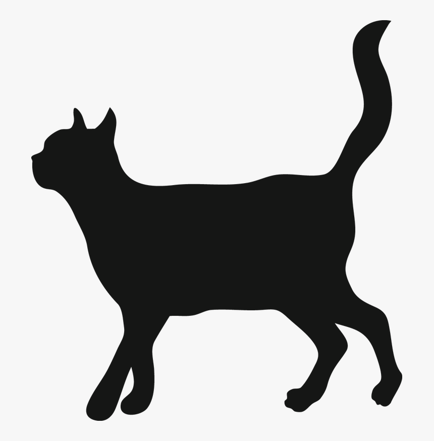 Cat Walking Clipart Banner Transparent Stock Cat Walking - Vet Çizmeli Kedi Cekmekoy