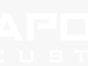 Aporia Customs - Playstation 4 Logo White