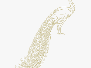 Transparent Peacock Png - Peafowl