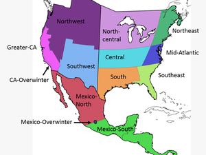 Regions Of Mexico Map Com In - North America Vector