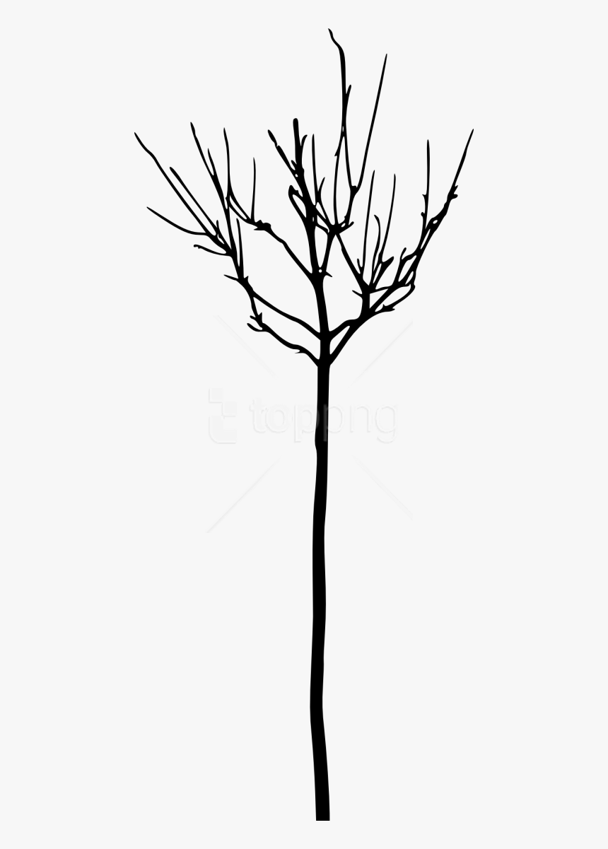 Free Png Simple Bare Tree Silhou