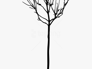 Free Png Simple Bare Tree Silhouette Png Images Transparent - Tree