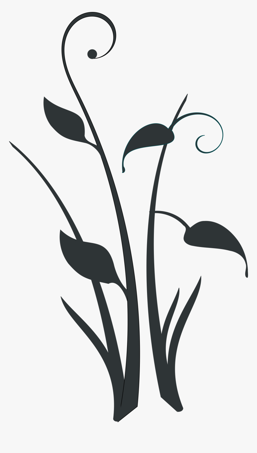 Decorative Form Clip Arts - Black And White Plant Clipart
