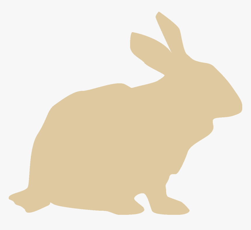 Transparent Rabbit Icon Png - Do
