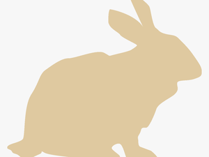 Transparent Rabbit Icon Png - Domestic Rabbit