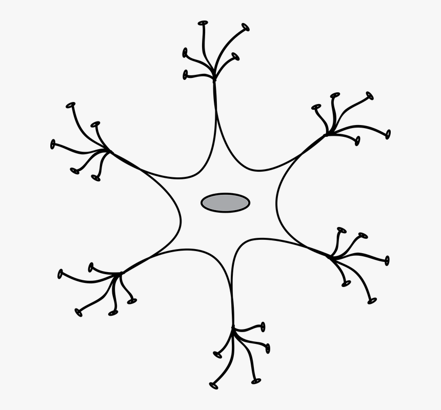 Neuronas Blanco Y Negro