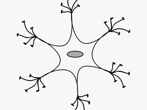 Neuronas Blanco Y Negro