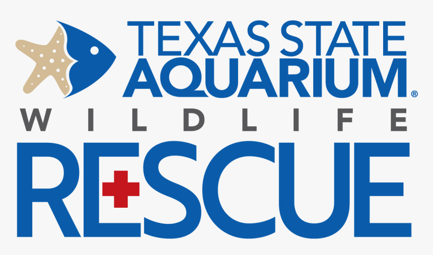 Texas State Aquarium Wildlife Rescue