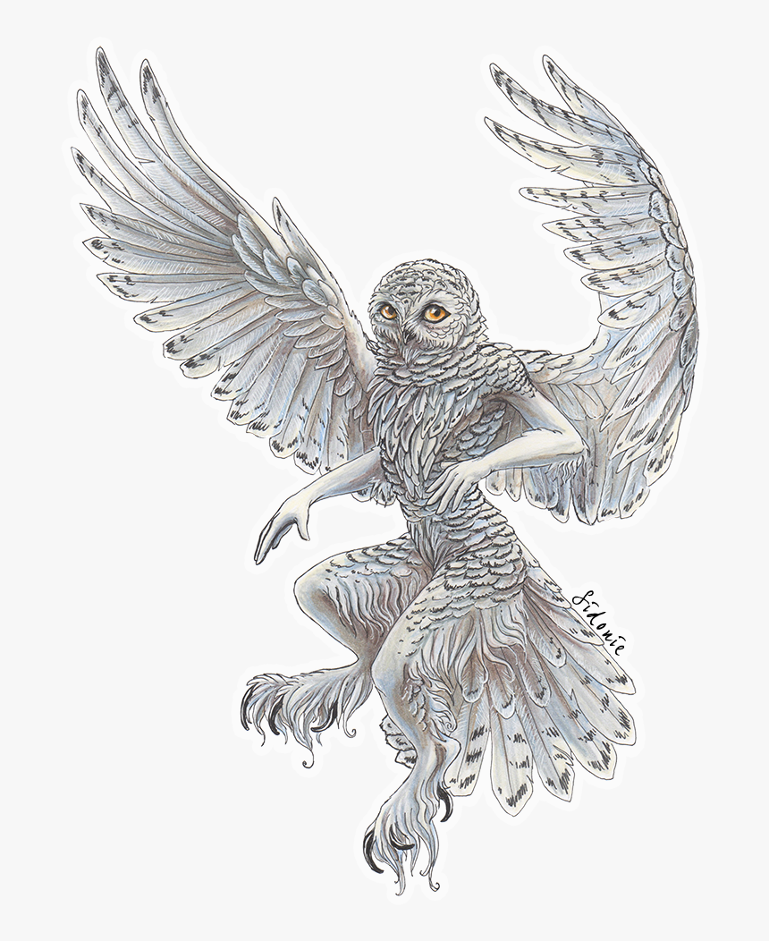 Transparent Flying Owl Clipart Black And White - Snowy Owl Art Transparent