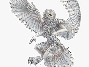 Transparent Flying Owl Clipart Black And White - Snowy Owl Art Transparent