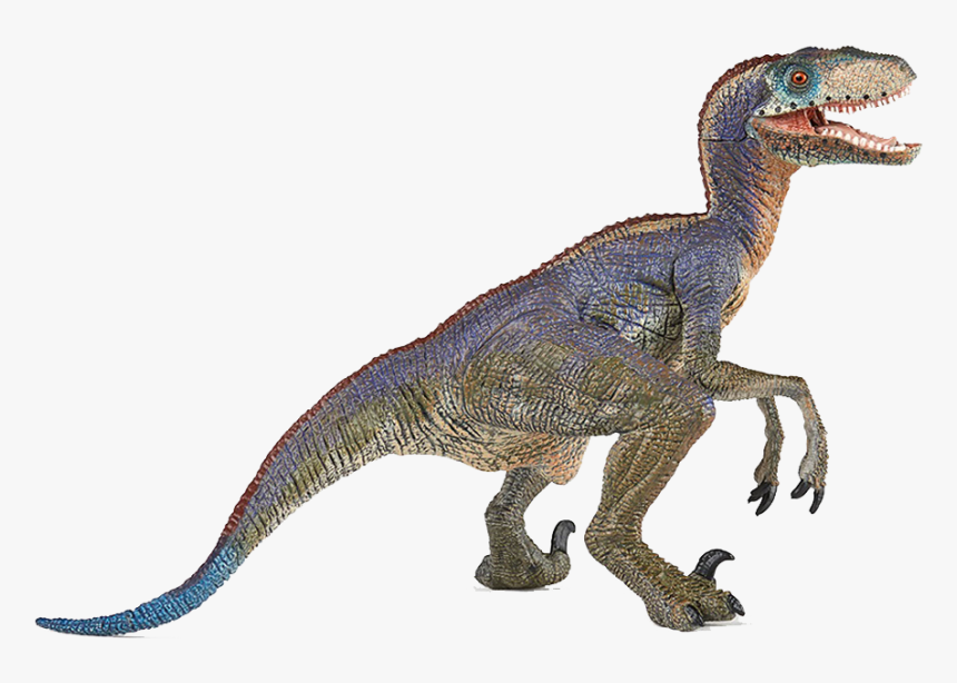 Dinosaur Png Free Images - Velociraptor Dinosaurs