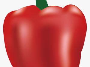 Chili Pepper Bell Pepper Vegetable - Illustration