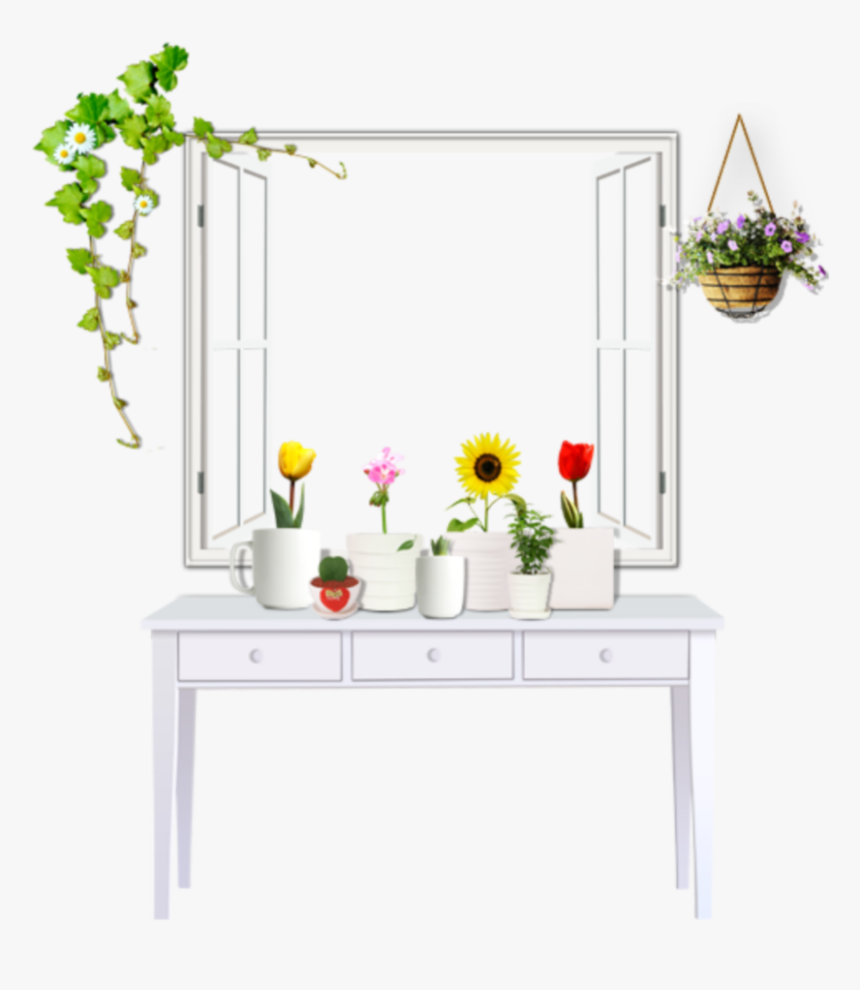#ftestickers #flowers #plants #desk #window #openwindow - Window