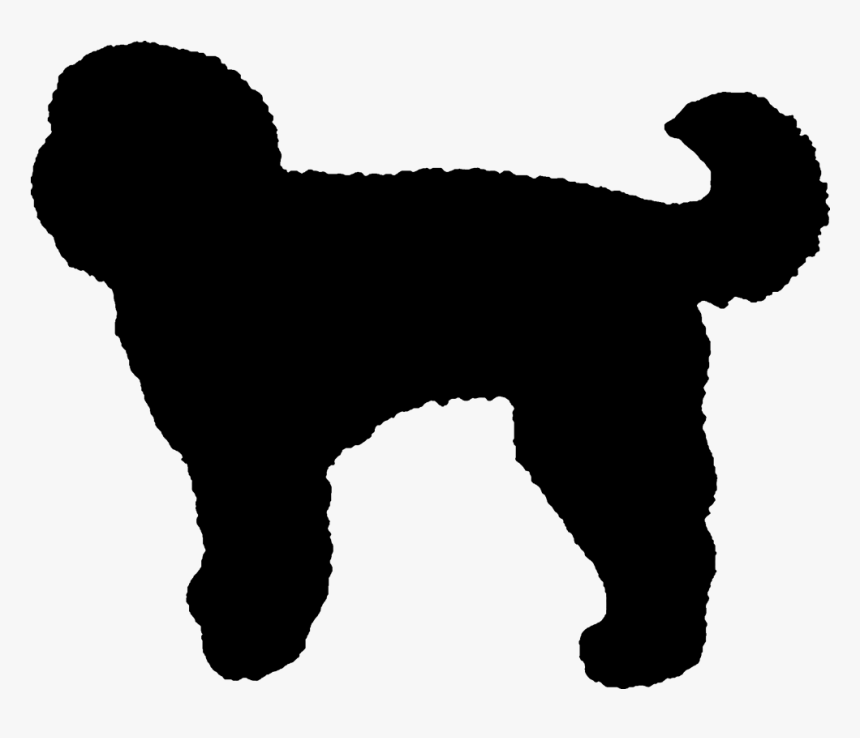 Labradoodle Drawing Water Dog Fo