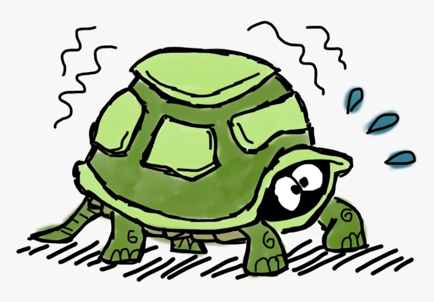 Turtle Coming Out Of Shell Cartoon