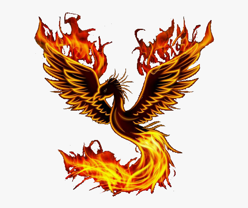 #phoenix #bird - Illustration
