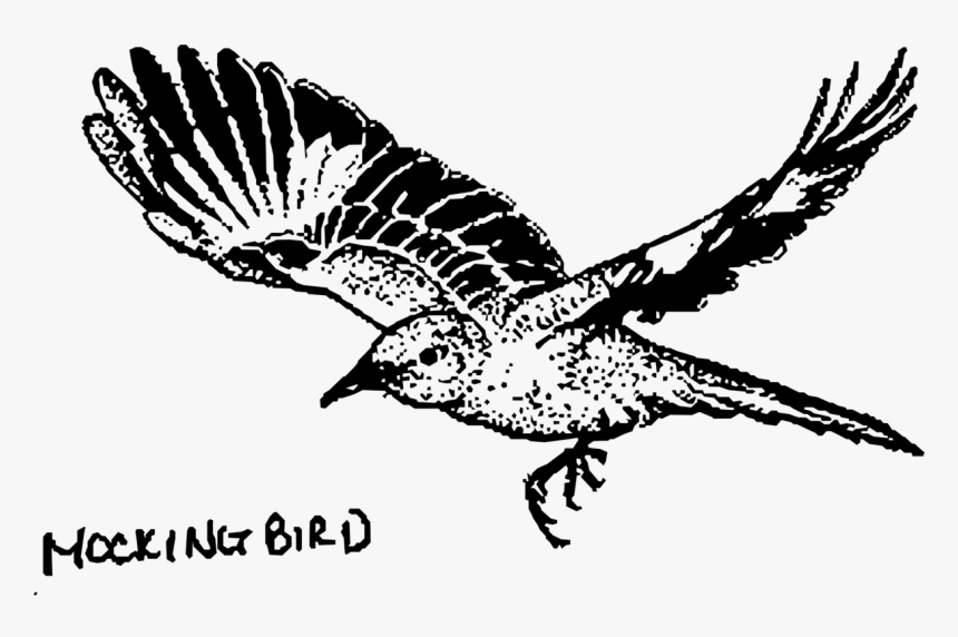 Mockingbird Png