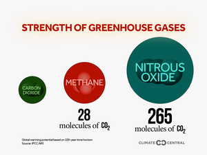 With A Title • Without - Greenhouse Gases Strength