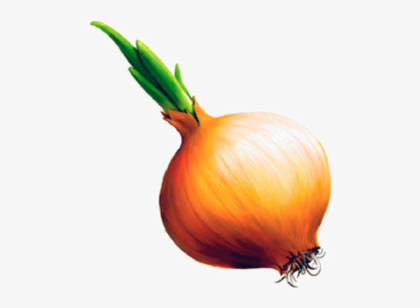 Onion Png Free Download - Onion Clipart Transparent