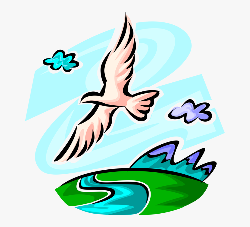 Vector Illustration Of Seagull Bird Flies In Healthy - Bird Flying Over The River