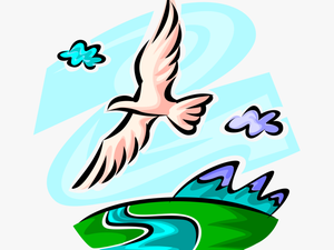 Vector Illustration Of Seagull Bird Flies In Healthy - Bird Flying Over The River