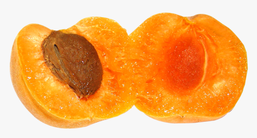 Apricot Slice Png