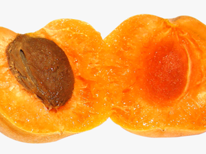 Apricot Slice Png