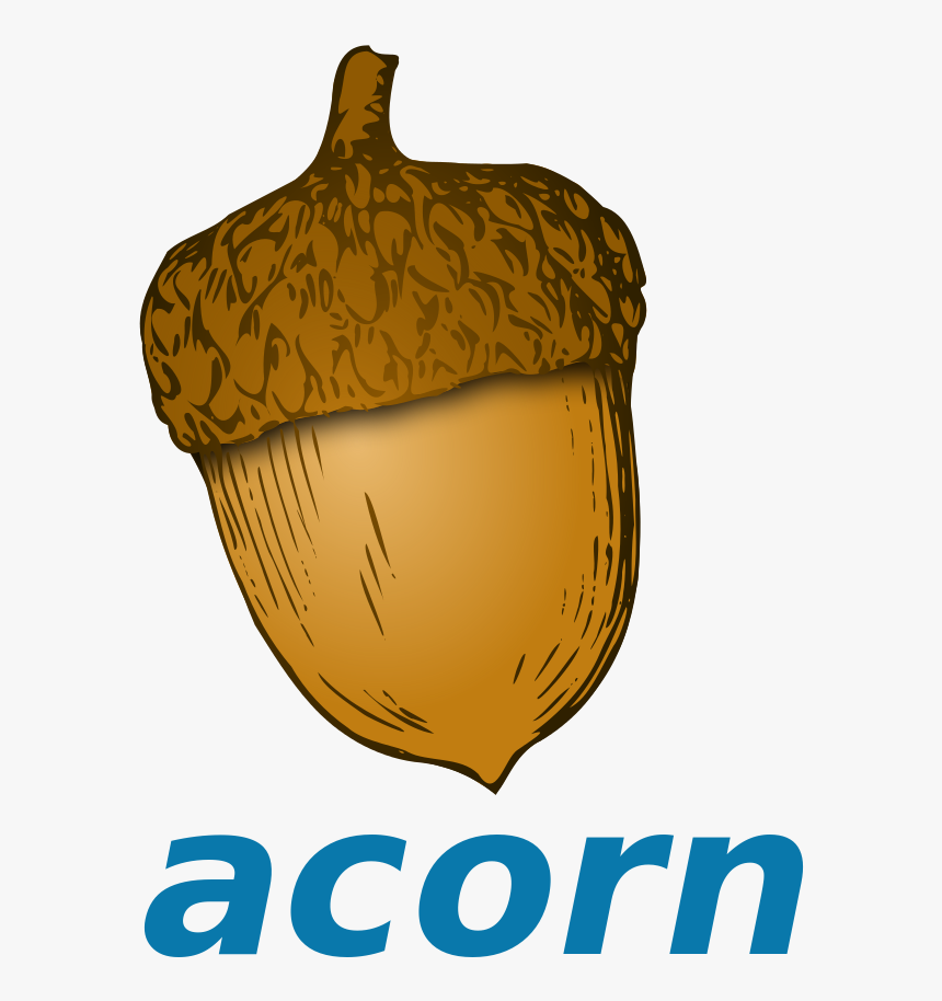 Transparent Acorn Clipart Png - Cartoon Acorn
