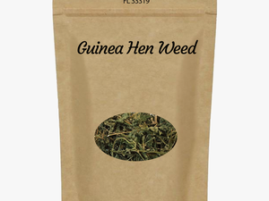 Guinea Hen Weed Attack Cancer Cells 

 
 Data Rimg - Mexican Tea