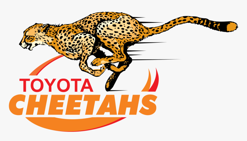Transparent Cheetah Png - Cheetahs Rugby Logo