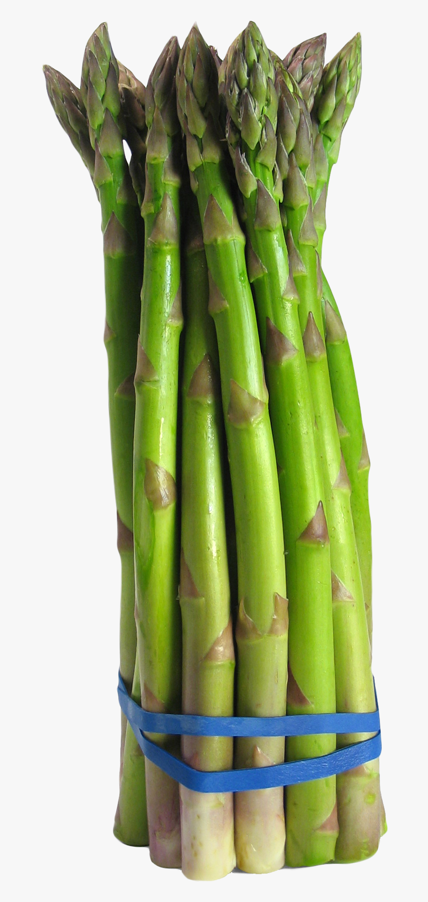 Asparagus Png Image - Asparagus 