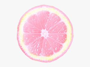#limon #limonada #acido #tumblr #rosado #pink #equisde - Meyer Lemon