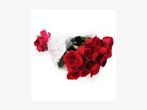 Rosas Rojas Png - Garden Roses