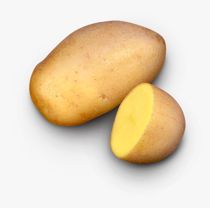 Russet Burbank Potato