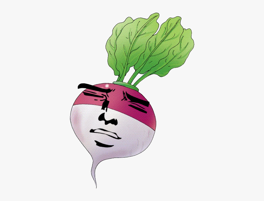 Clipart Picture Of Turnip