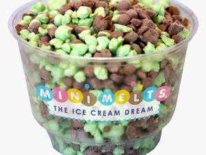 Mini Melts Ice Cream