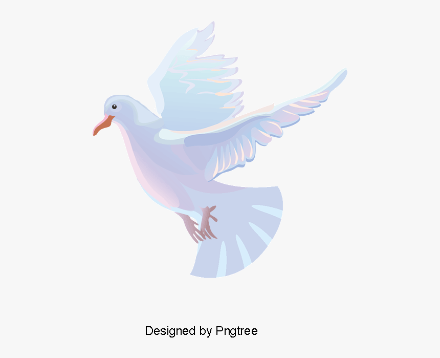Transparent Paloma Clipart - White Dove Vector Png