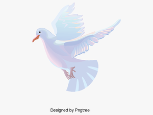 Transparent Paloma Clipart - White Dove Vector Png
