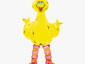 Big Bird Elmo Cookie Monster Abby Cadabby Balloon - Big Bird Gif Transparent Gif