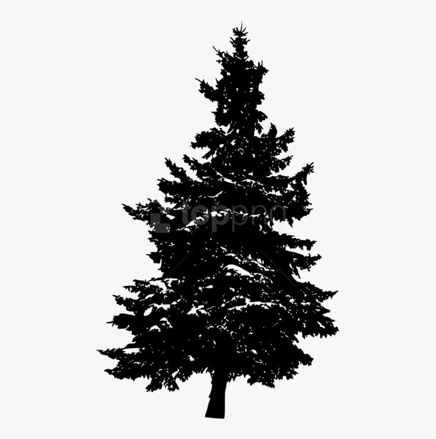 Pine Tree Silhouette Transparent