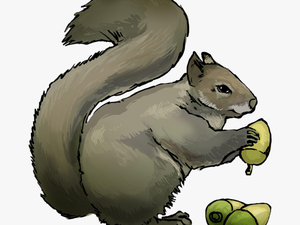 Squirrel Clipart Photos - Squirrel Clip Art