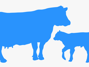 Cow And Calf Silhouette