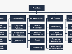 Org-structure - Organization Structure Of Kuwait Airways