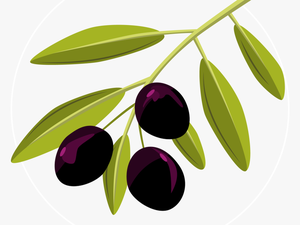 Vector-olive - Olive Clipart