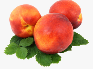 Peach Png Image - 10 Duraznos