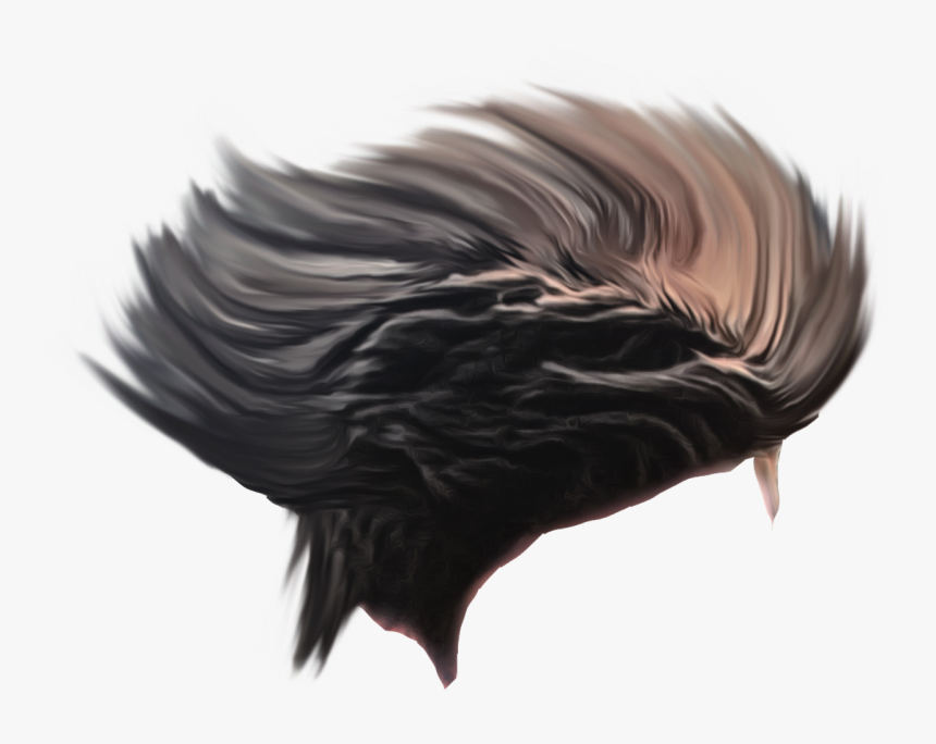 Hair Png For Photoshop