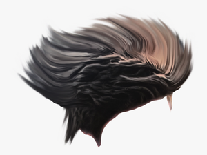 Hair Png For Photoshop